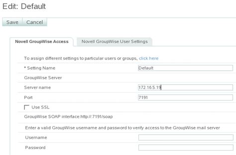 GroupWise Access .